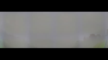 2025-08-29