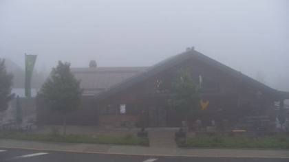 2025-07-12