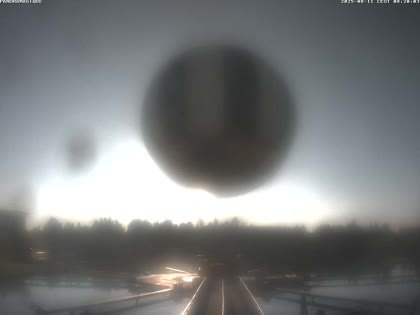 2025-08-11