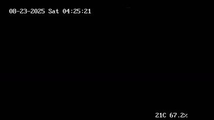 2025-08-23