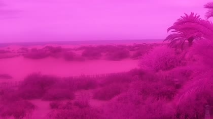 2026-10-07