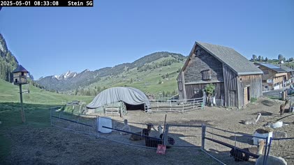 2025-05-01