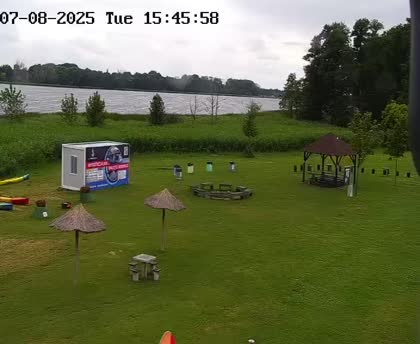 2025-07-08