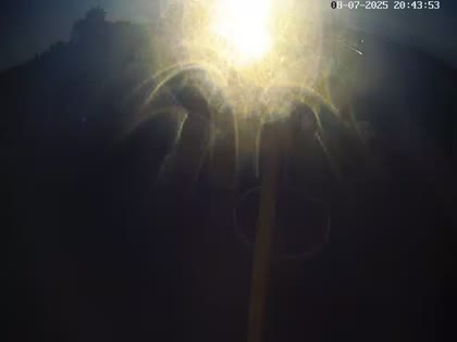 2025-07-09