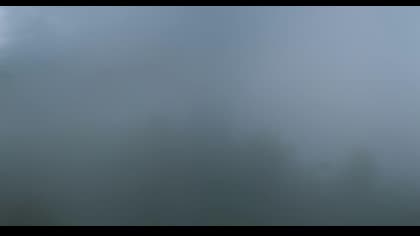 2025-08-21