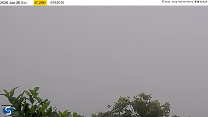 2026-06-20