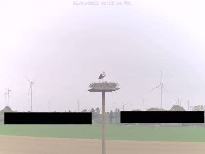 2025-04-25