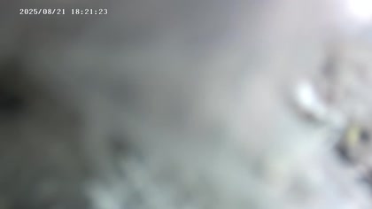 2025-08-21