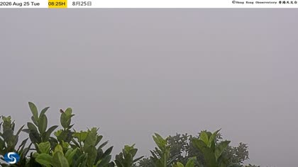 2026-08-25