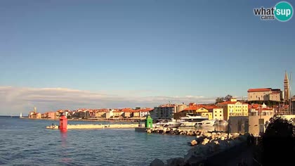 2026-10-11