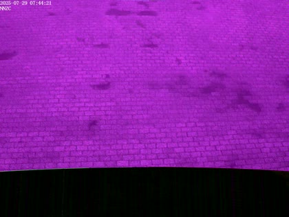 2025-07-29
