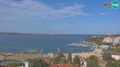 2026-08-12