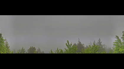 2026-06-01