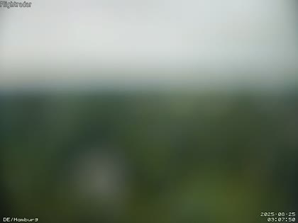 2025-08-25