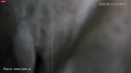 2025-05-15