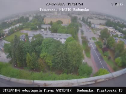 2025-07-29