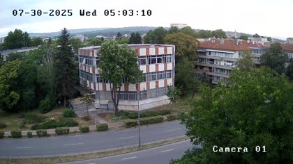 2025-07-30