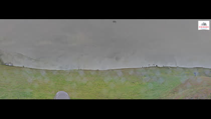 2025-07-26