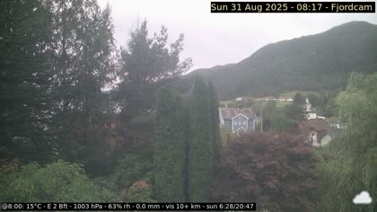 2025-08-31