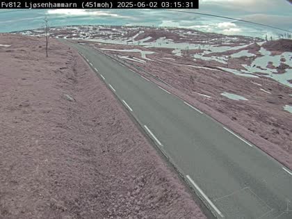2025-06-02