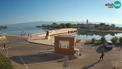 2026-08-10