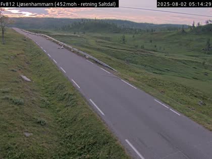 2025-08-02