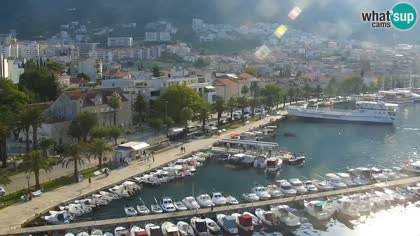 2026-08-08