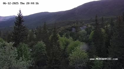 2025-06-12