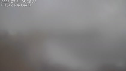 2026-07-31