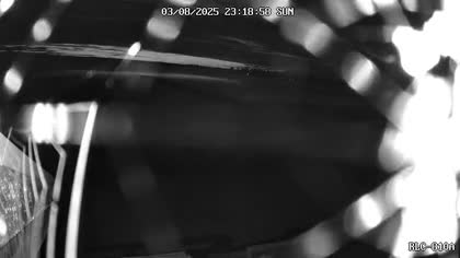2025-08-04