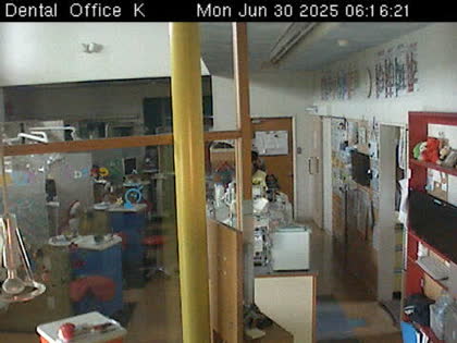2025-06-29