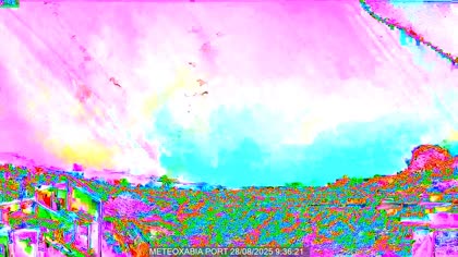 2025-08-28
