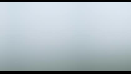 2025-10-11