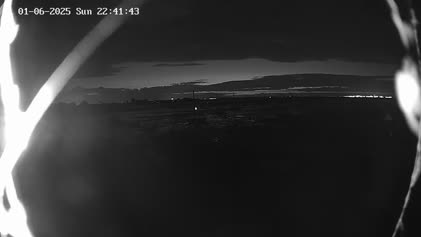 2025-06-02