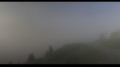 2025-07-07