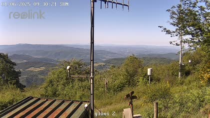 2025-06-01