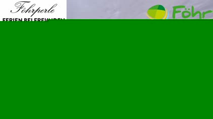 2025-06-29