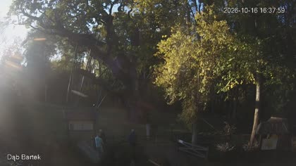 2026-10-16