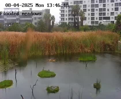 2025-08-05