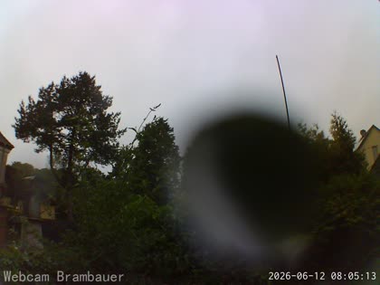 2026-06-12