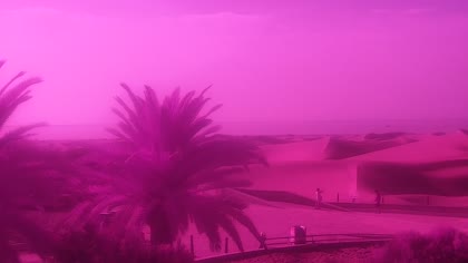 2026-08-19