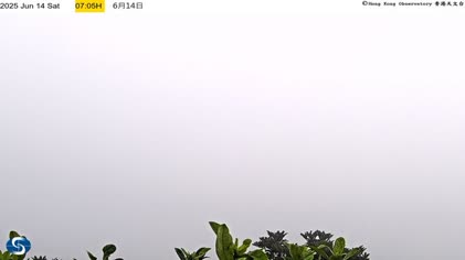 2025-06-14