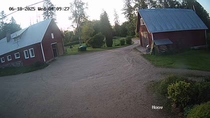 2025-06-19