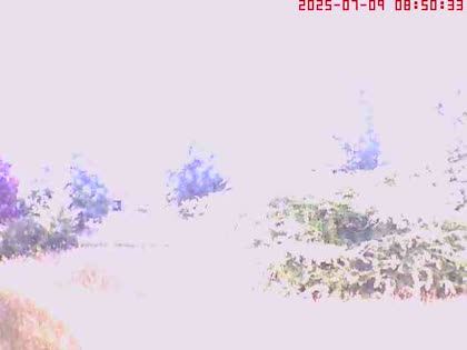 2025-07-09