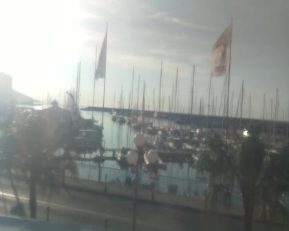 2026-05-23