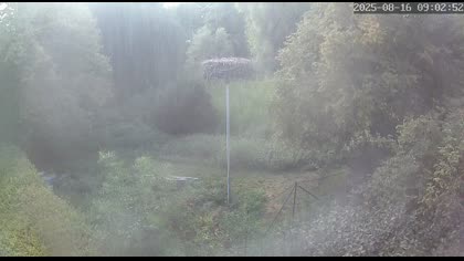 2025-08-16