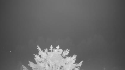 2025-06-28