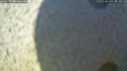 2025-04-21