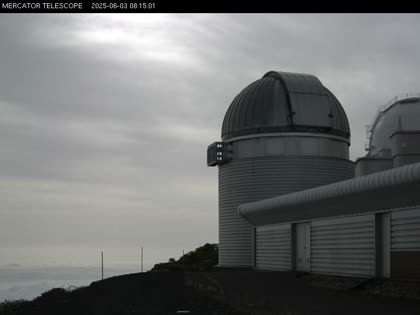 2025-06-03