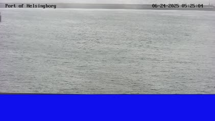 2025-06-24